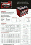 NPC-110 Power AGM Deep Cycle 110AH Battery